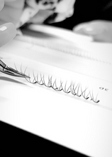 Load image into Gallery viewer, 1/2 Day Workshop - Shadow/Training