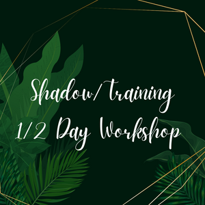 1/2 Day Workshop - Shadow/Training